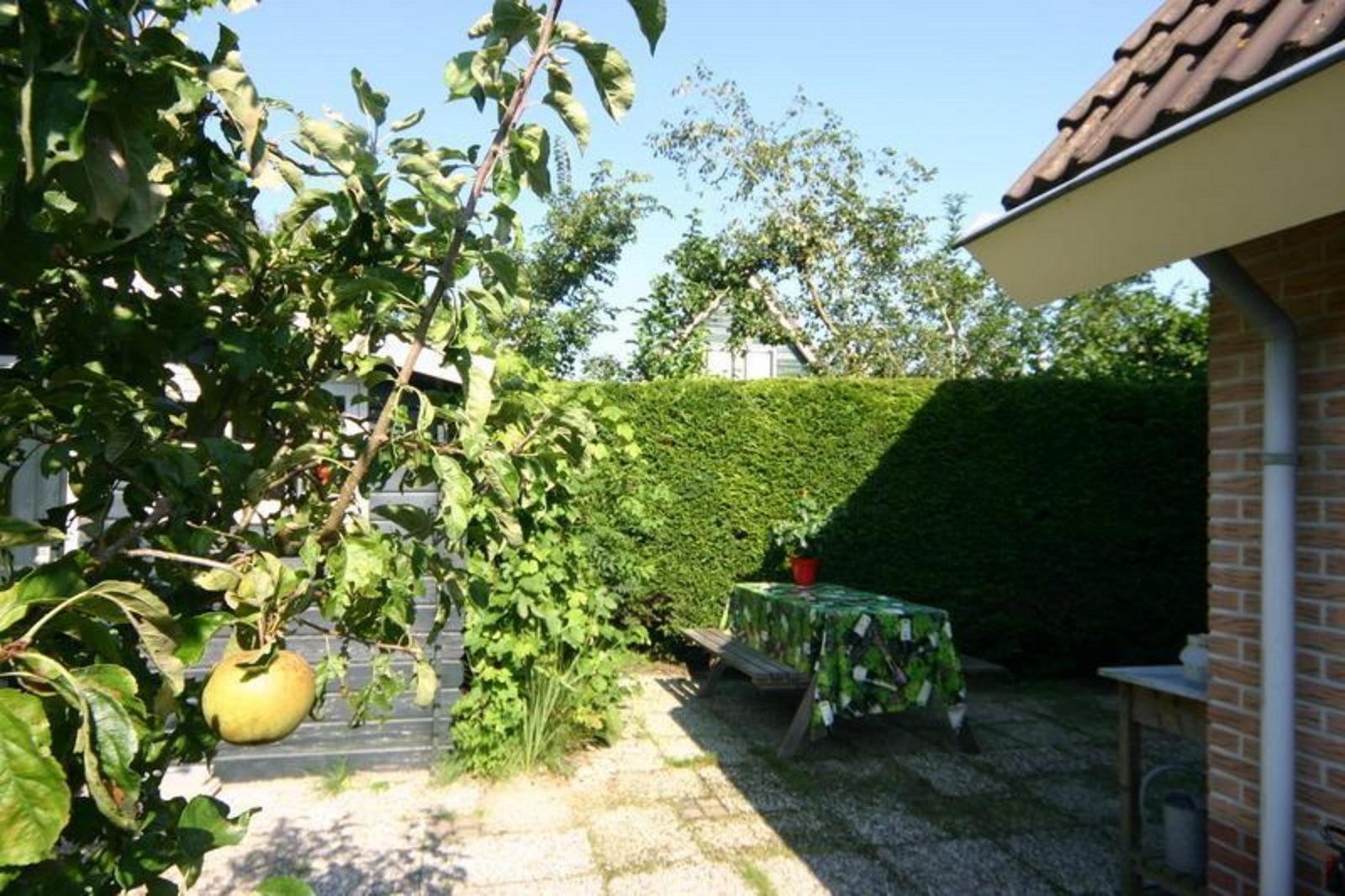 Vakantiehuis Casa Feliz - 15