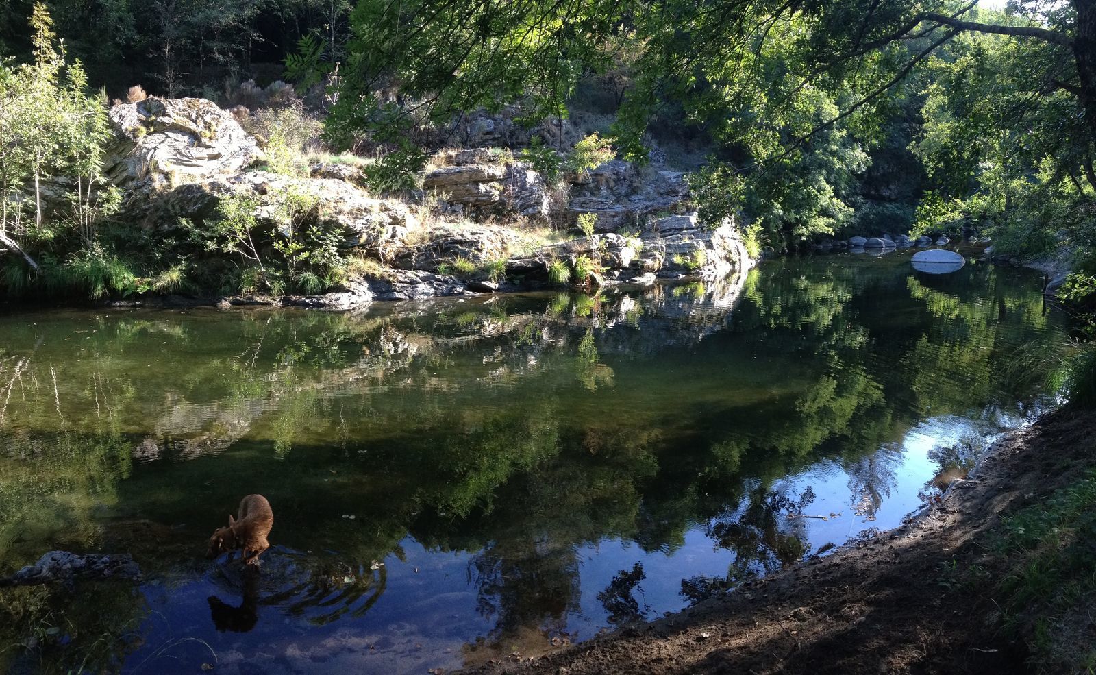 Cevenolse Mas gîte Donzel - vakantie voor natuurliefhebbers
