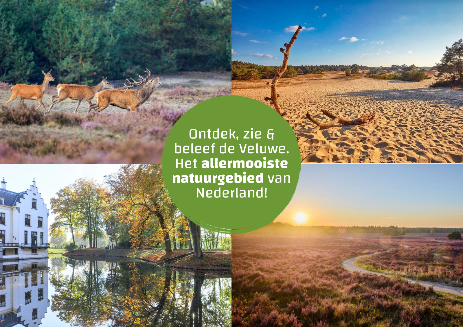 Villa Vogelveld | 8 Pers.