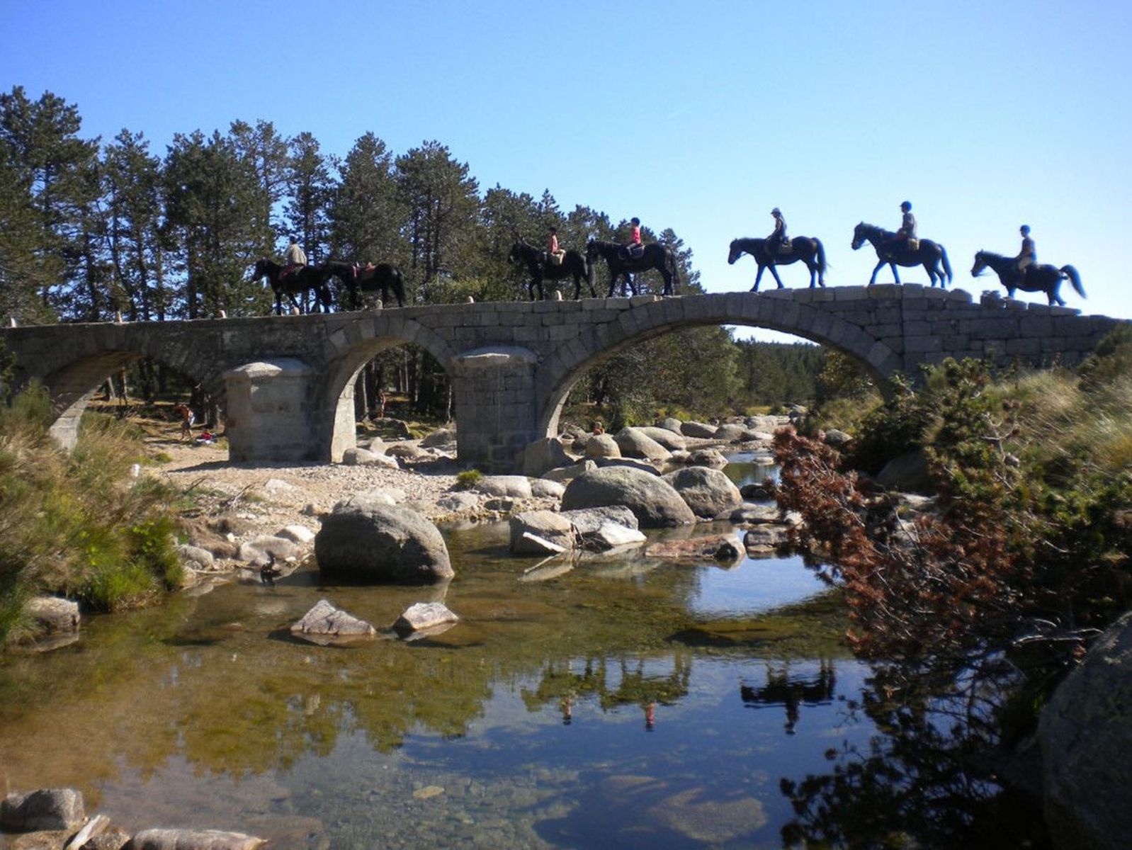 Cevenolse Mas Safaritent - kampeervakantie in Franse natuur