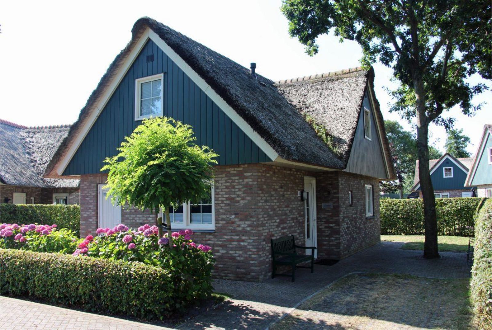 Lachmöwe