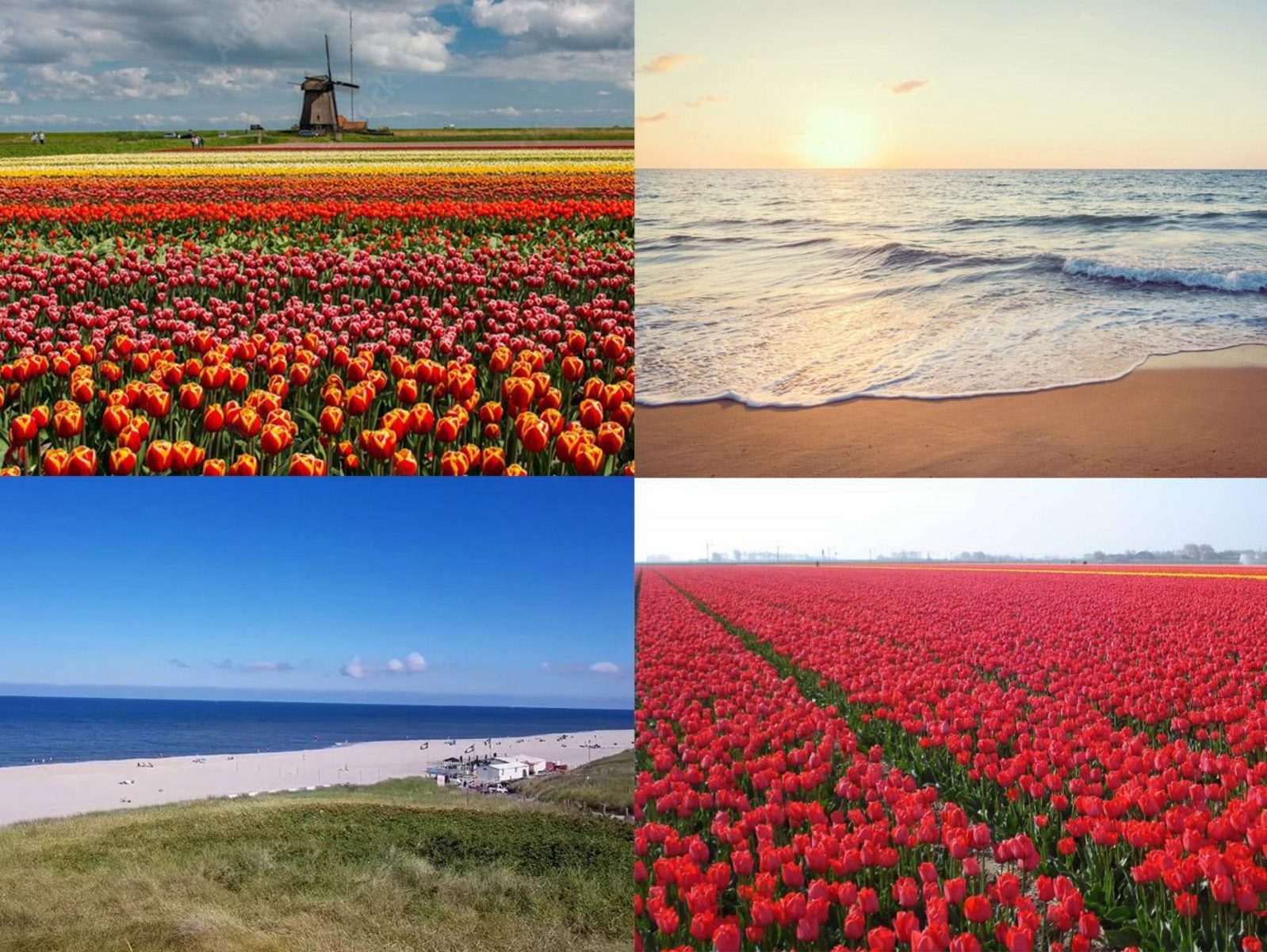 Wijde Blick XL