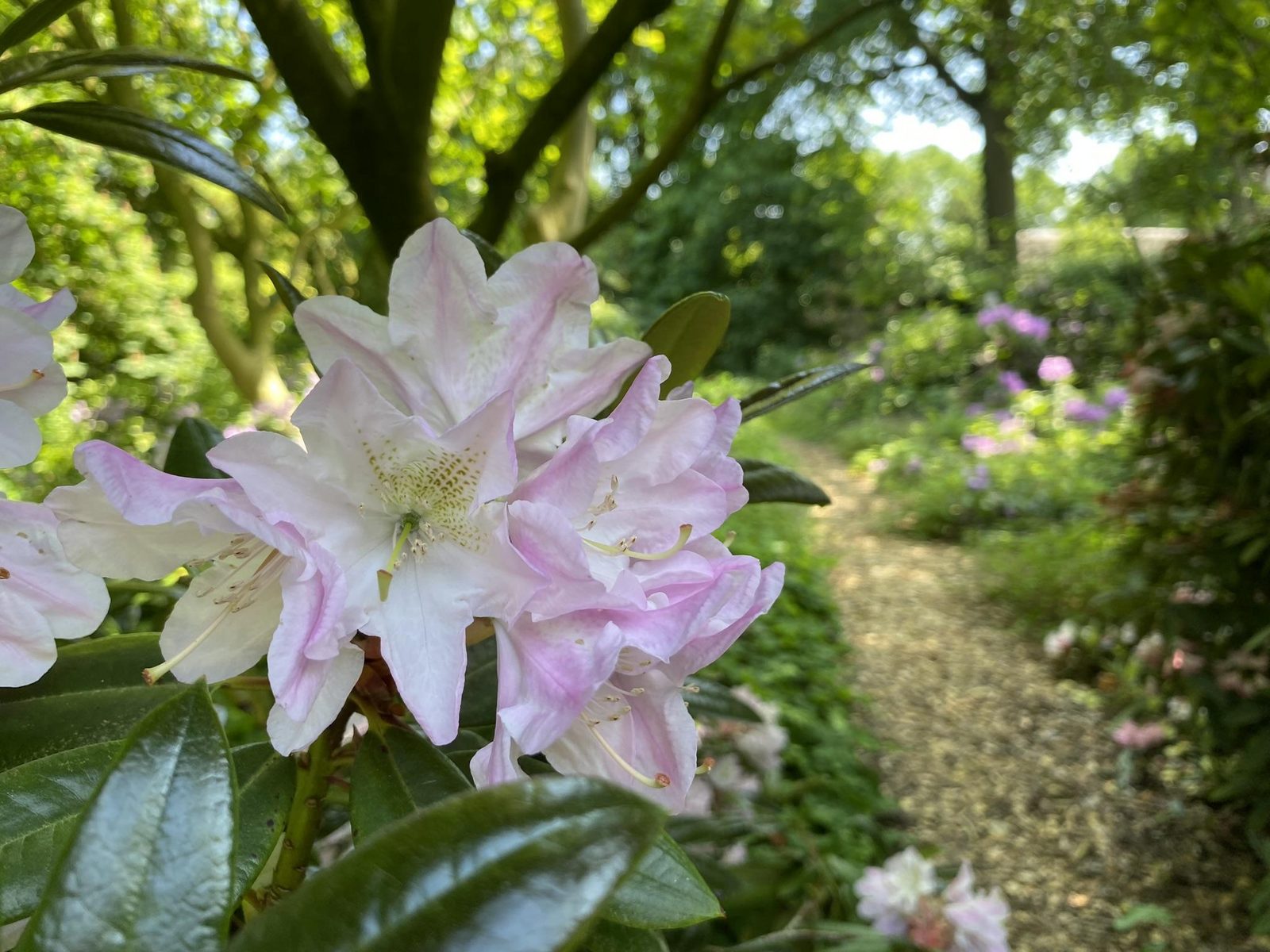 Vakantiehuis Oude Barrier I vakantie in de Brabantse natuur