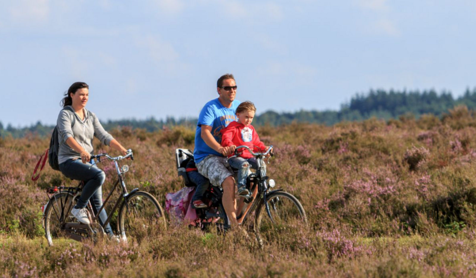 Veluwe Lodge