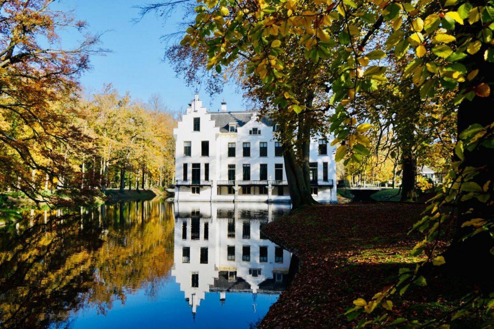 Veluwe Lodge