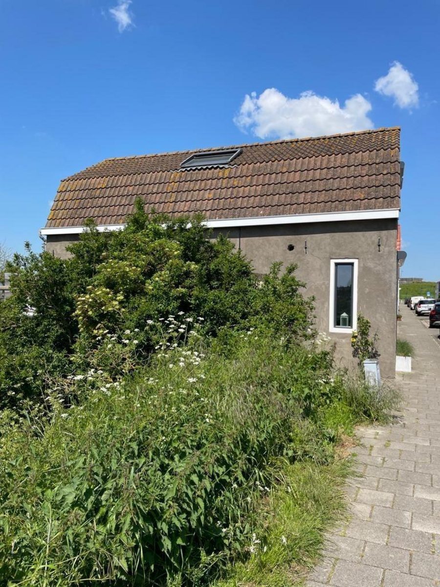 Boulevard 41, Breskens
