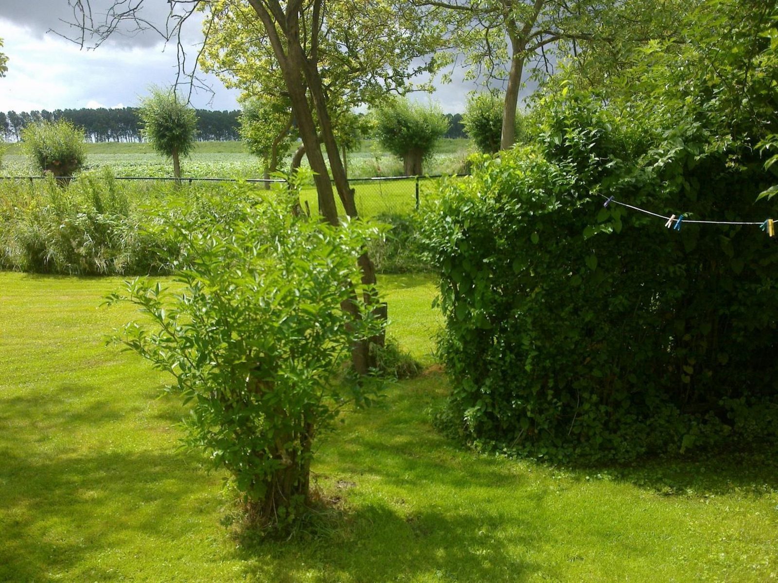 Nummer Één 26a, Hoofdplaat