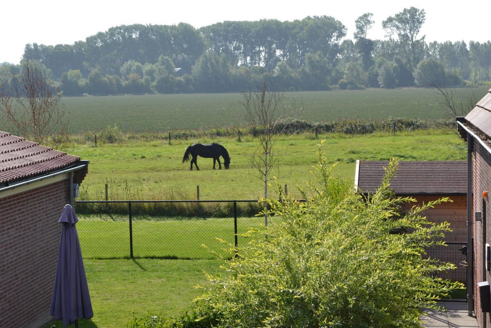 Landgoed de Lente 36 (Krokus), Breskens