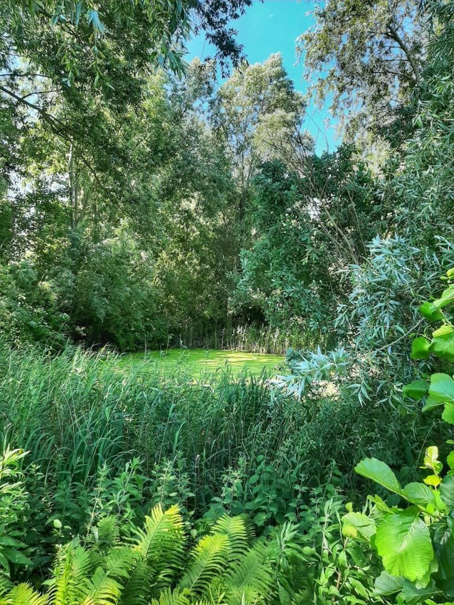 Paarlhof 18 (Kolibri), Groede