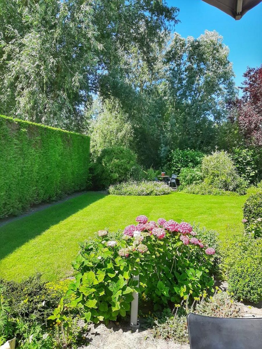 Paarlhof 18 (Kolibri), Groede
