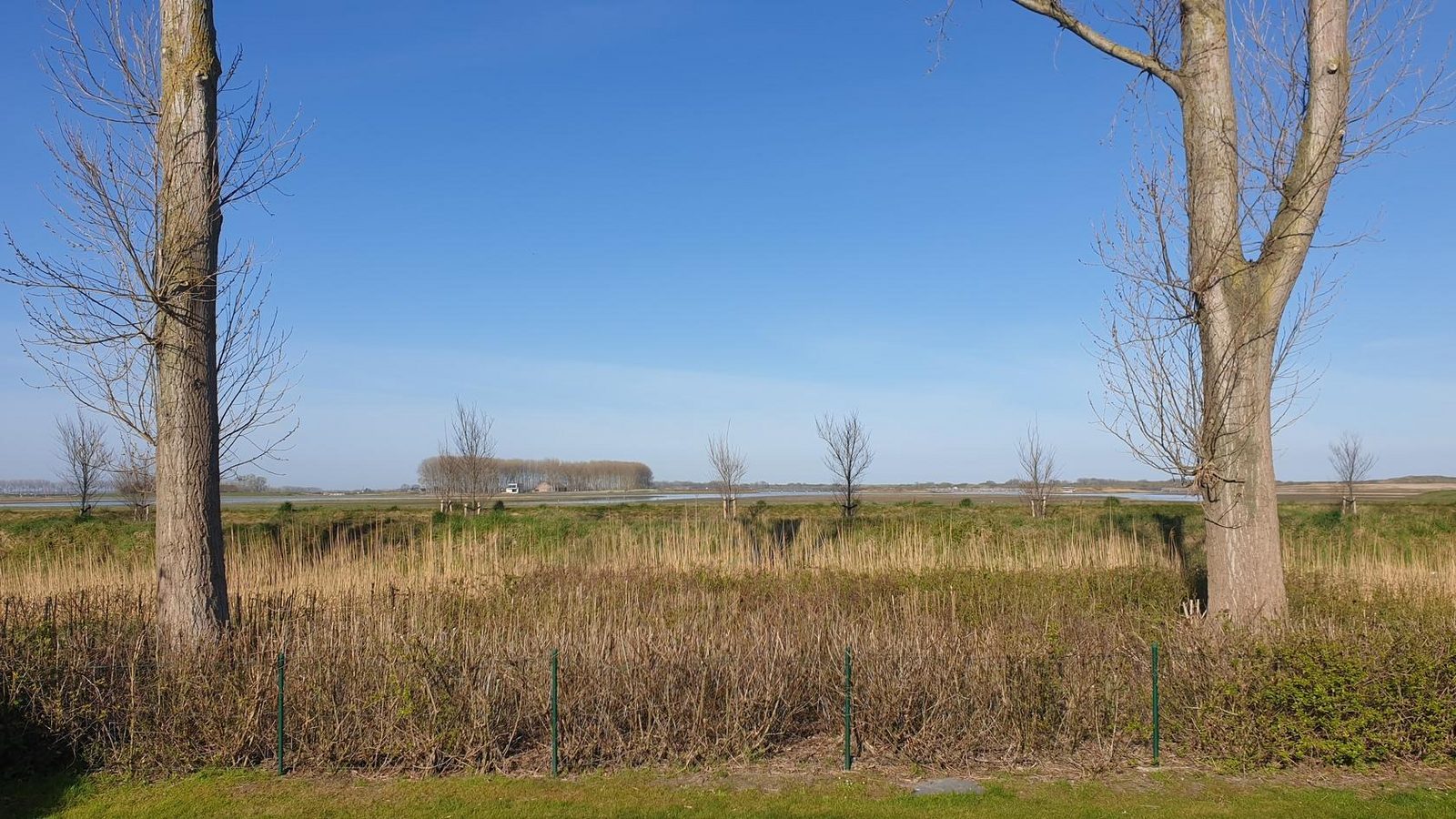 Schoneveld 176 (Zeemeeuw), Breskens