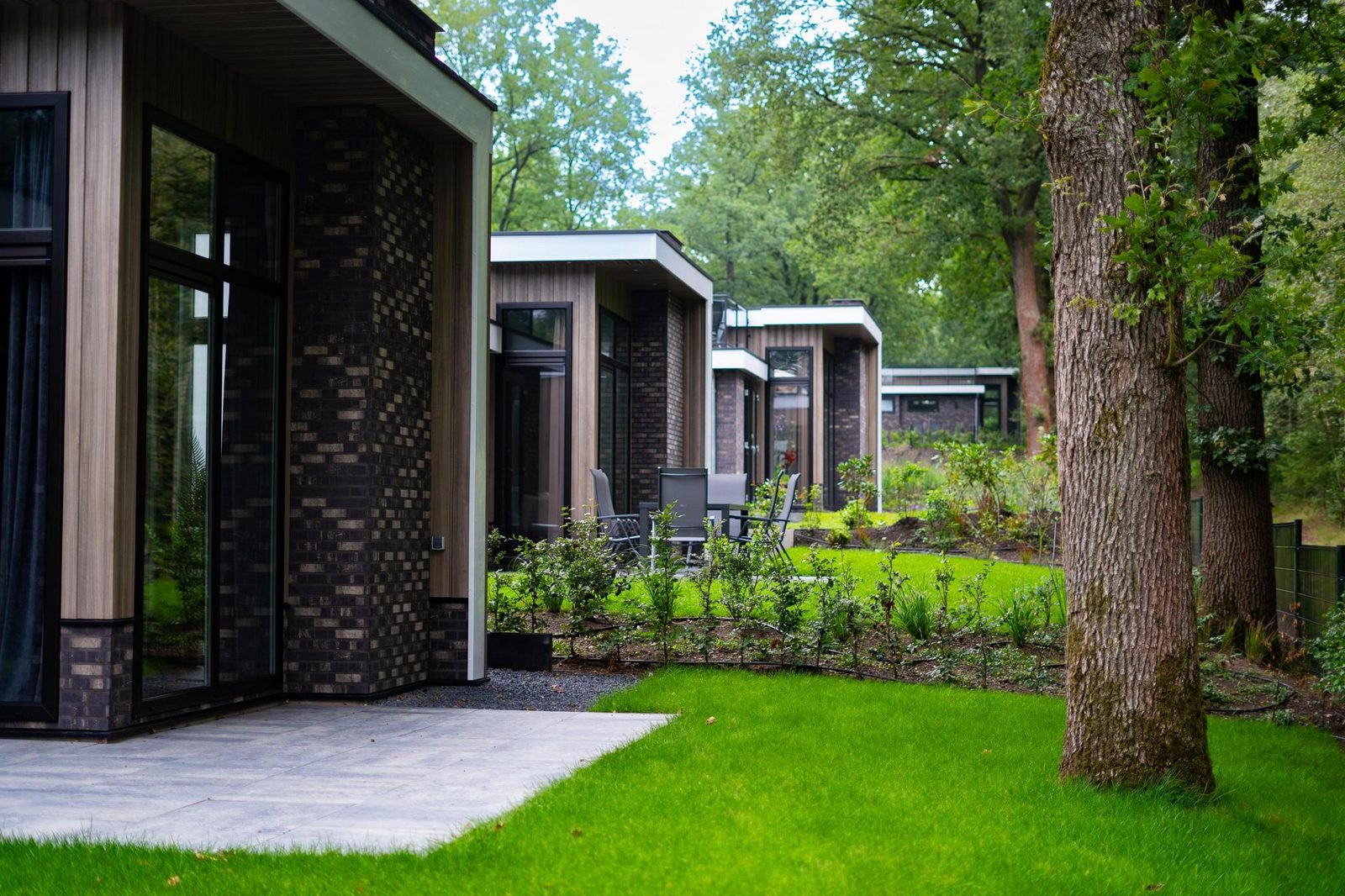 Vakantiewoning Boszicht XL Luxe | 6 persoons