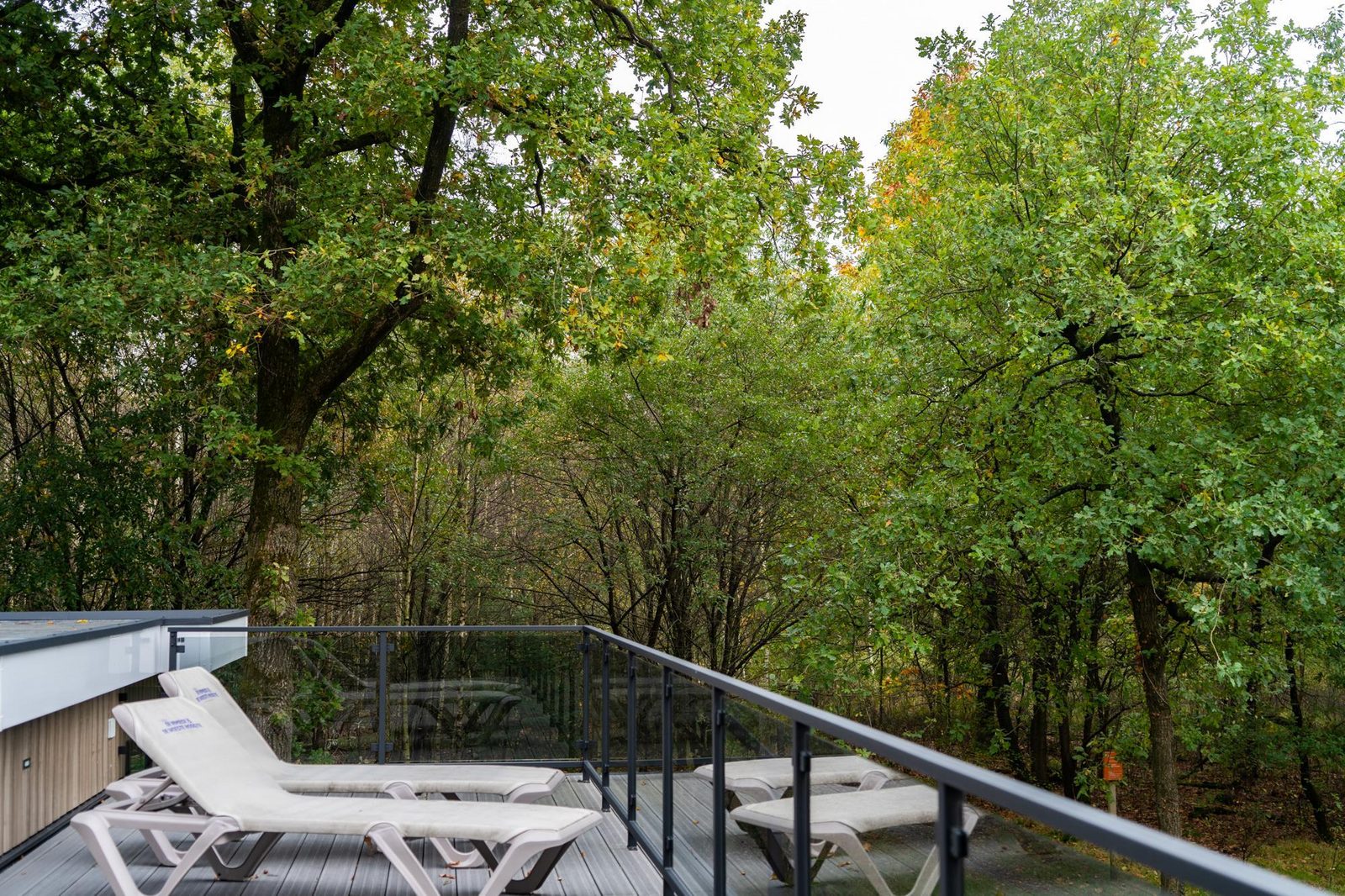 Vakantiewoning Boszicht XL Luxe | 6 persoons