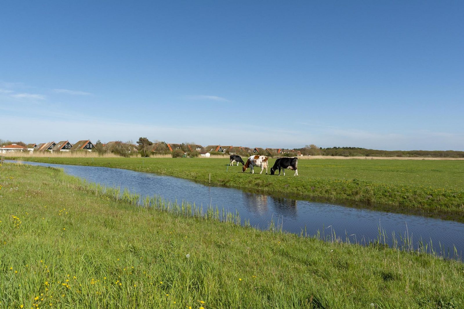 De Buitenplaats 42