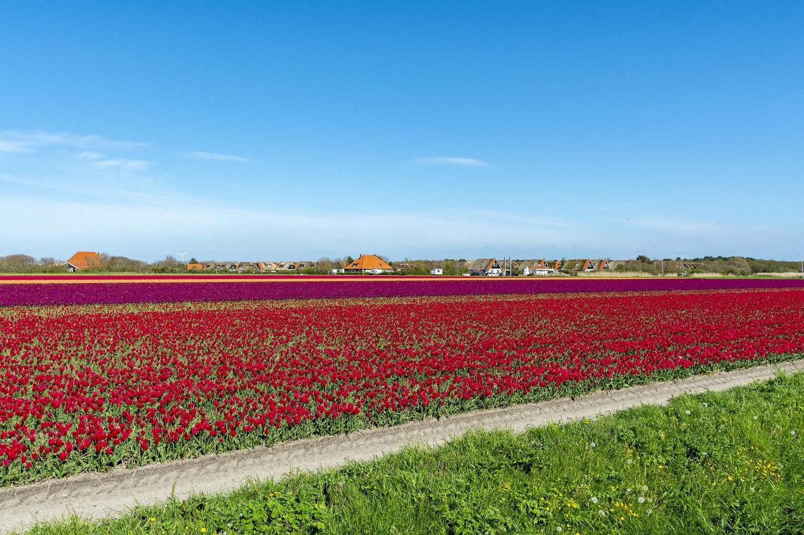 De Buitenplaats 72
