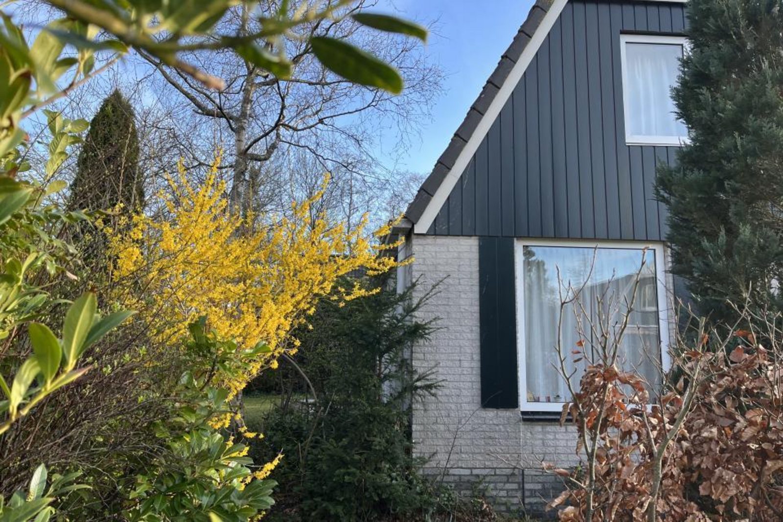 Duin Bungalow 149 5-persoons 2-slaapkamers