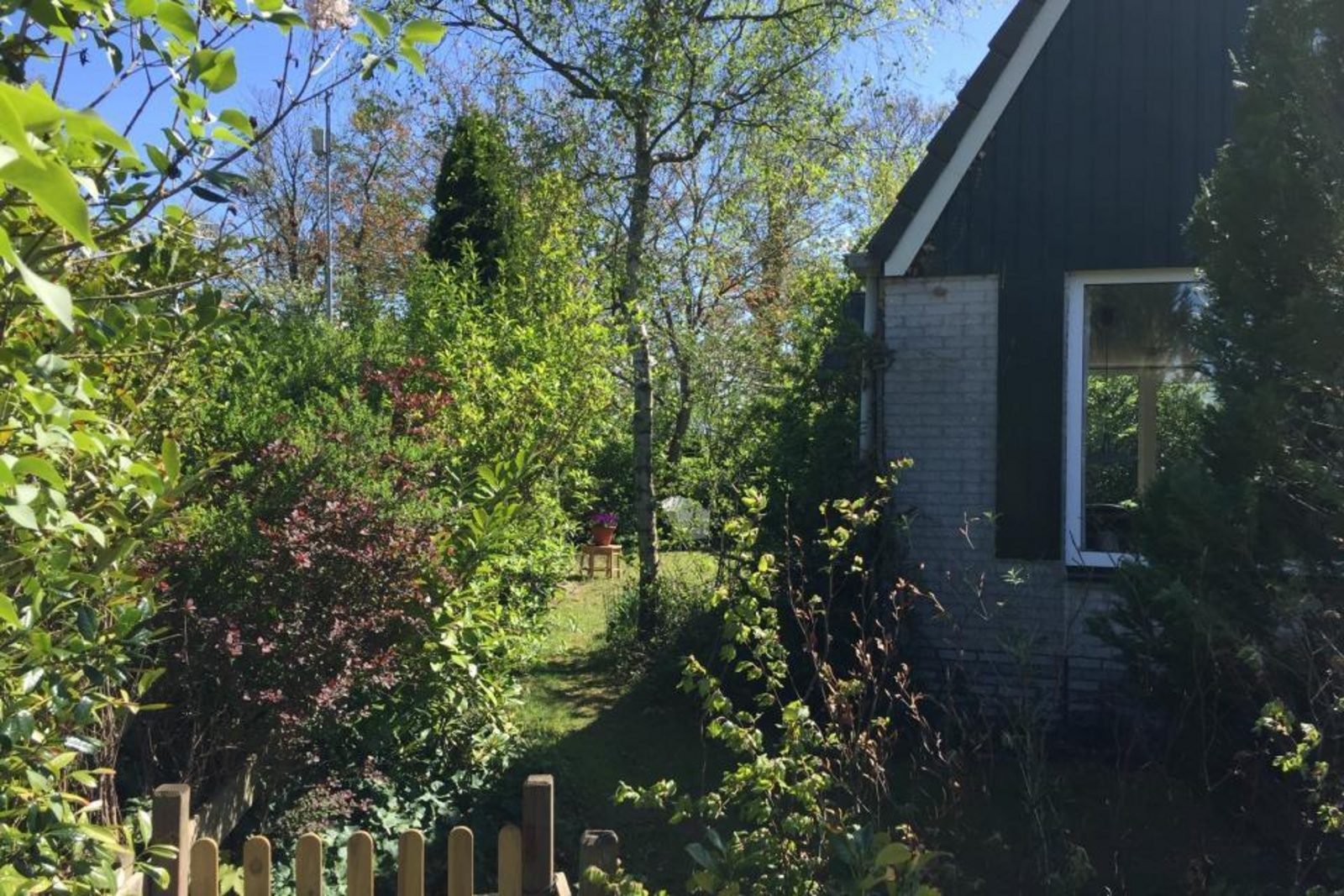 Duin Bungalow 149 5-persoons 2-slaapkamers
