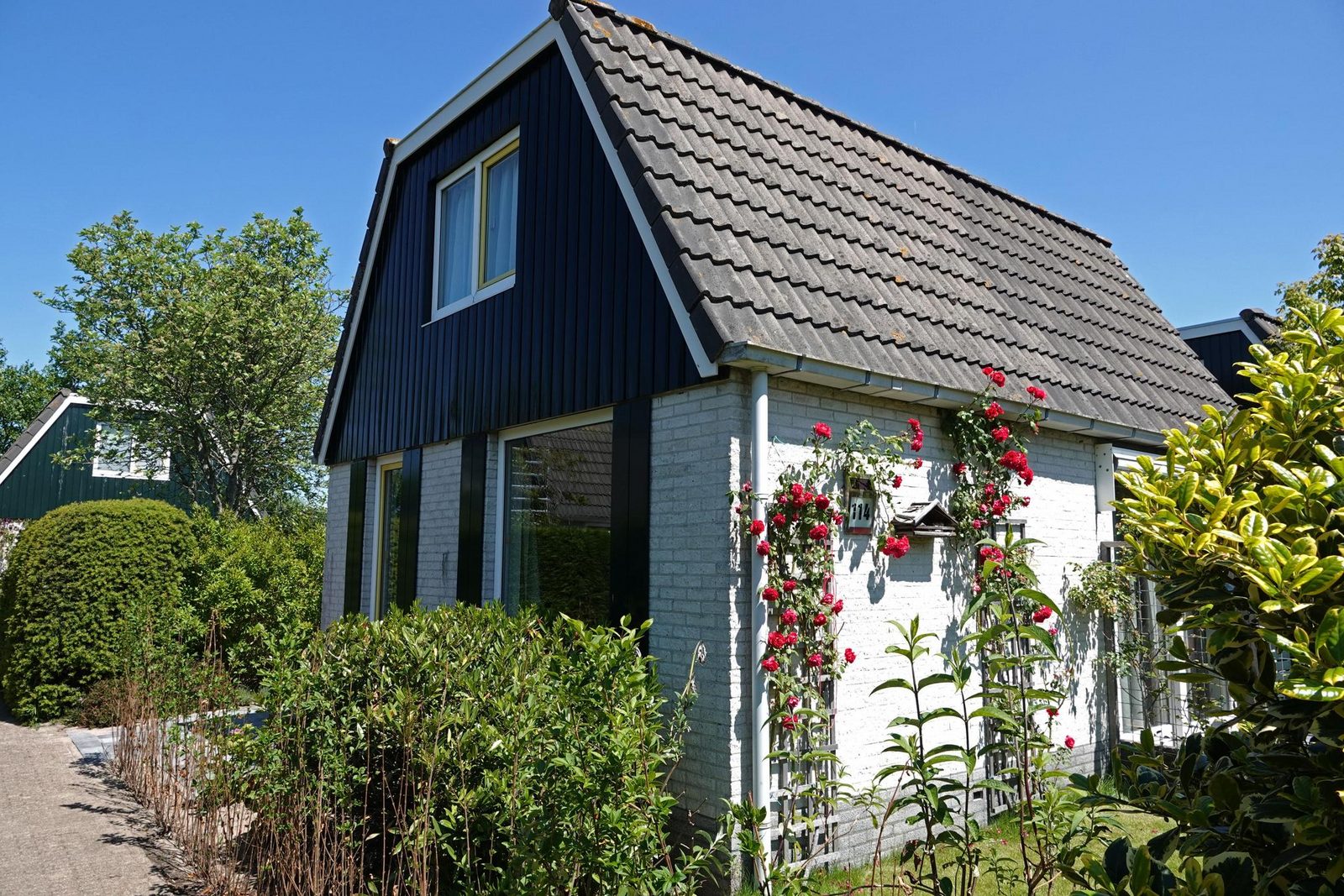 Duin Bungalow 114 6-persoons