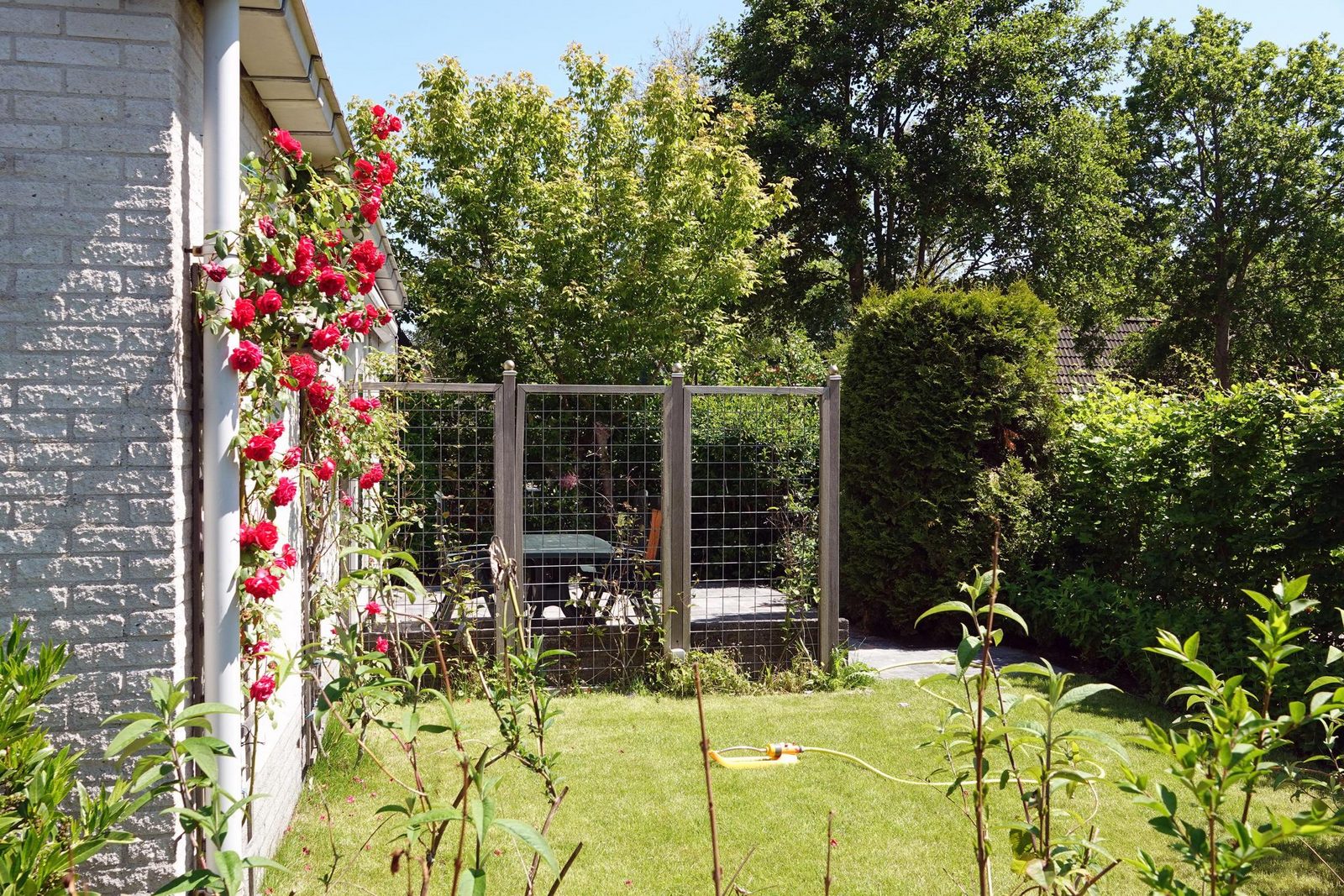 Duin Bungalow 114 6-persoons