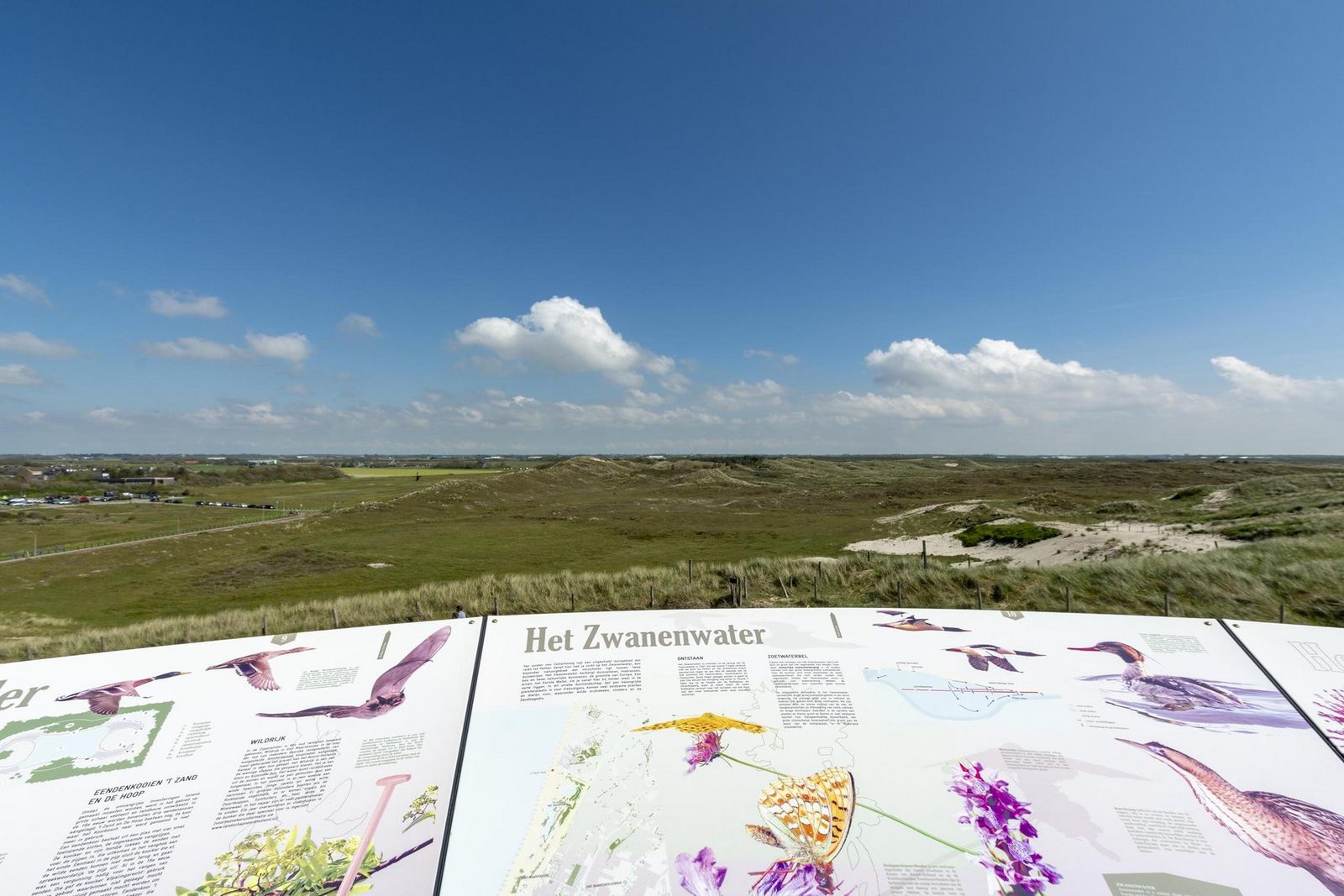 Wijde Blick 103