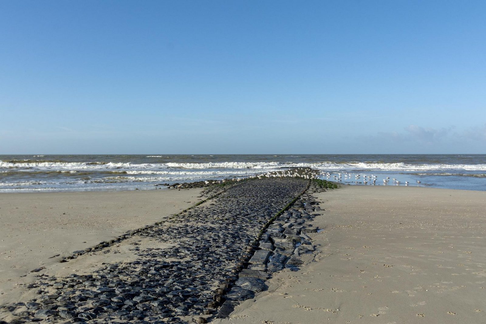 Wijde Blick 203