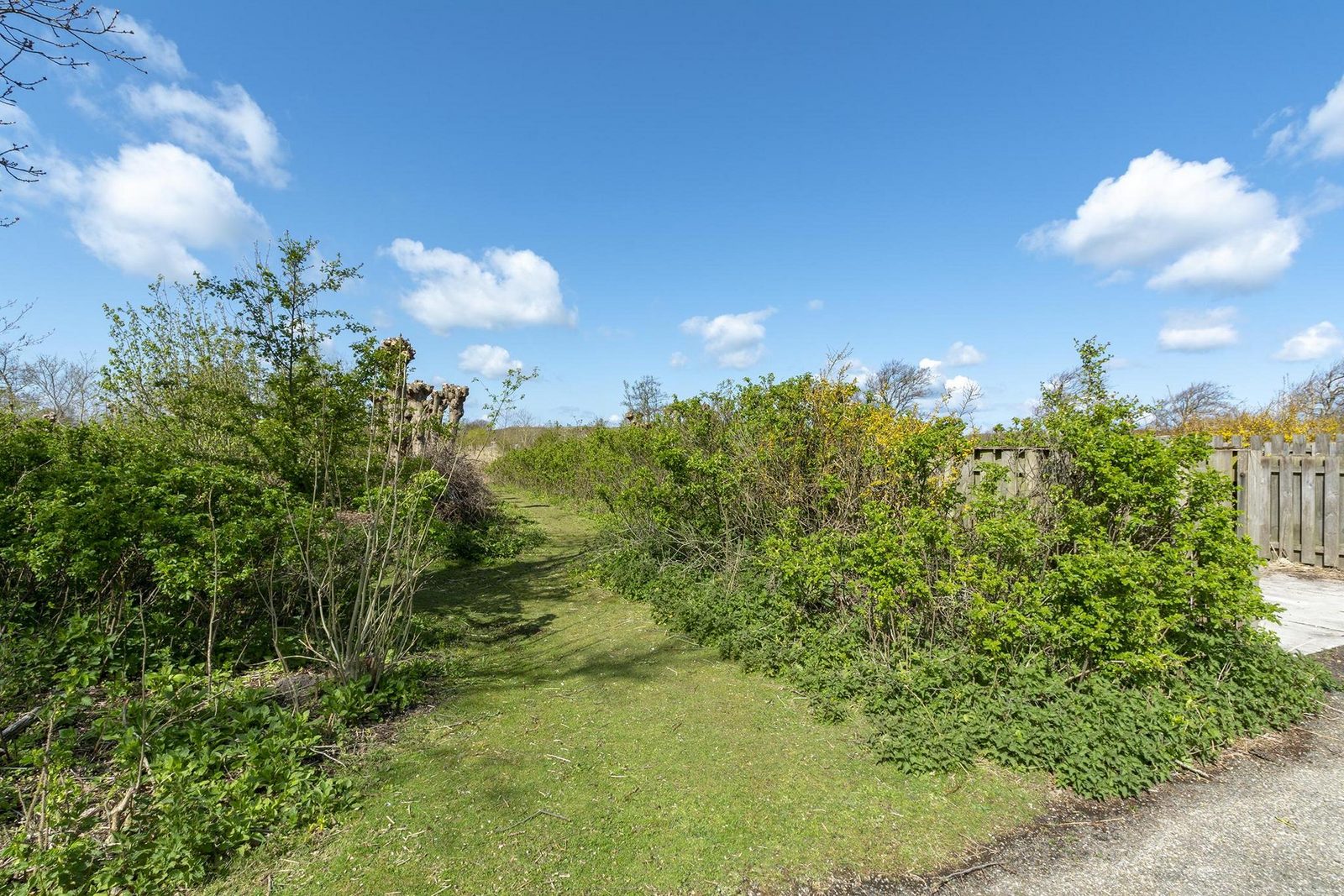 Wildrijk 83