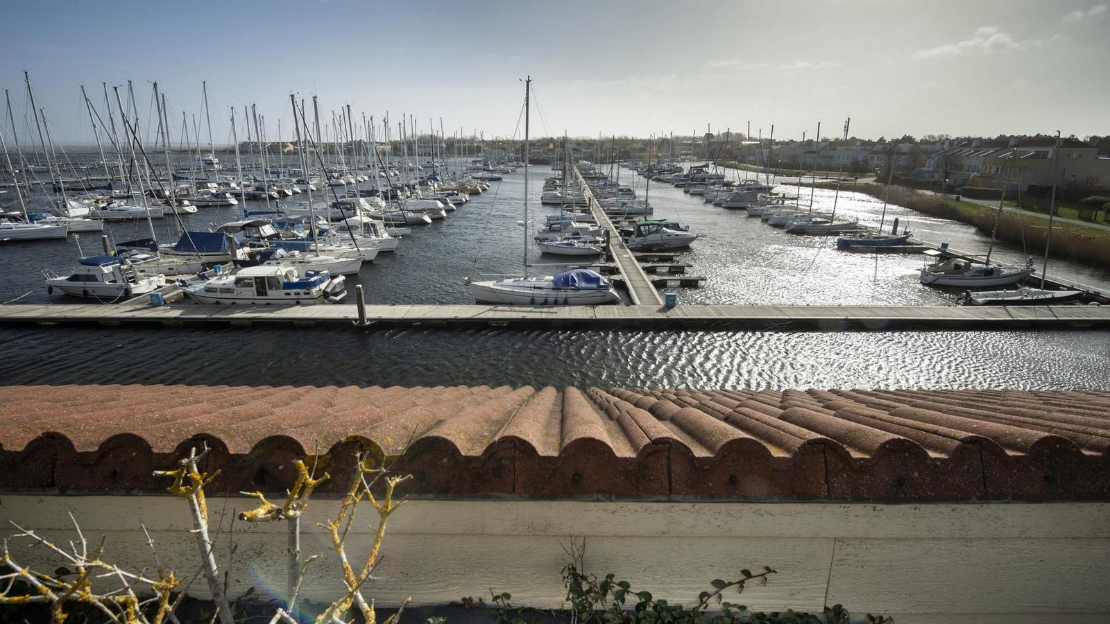Kabbelaarsbank 216 - Port Marina Zélande