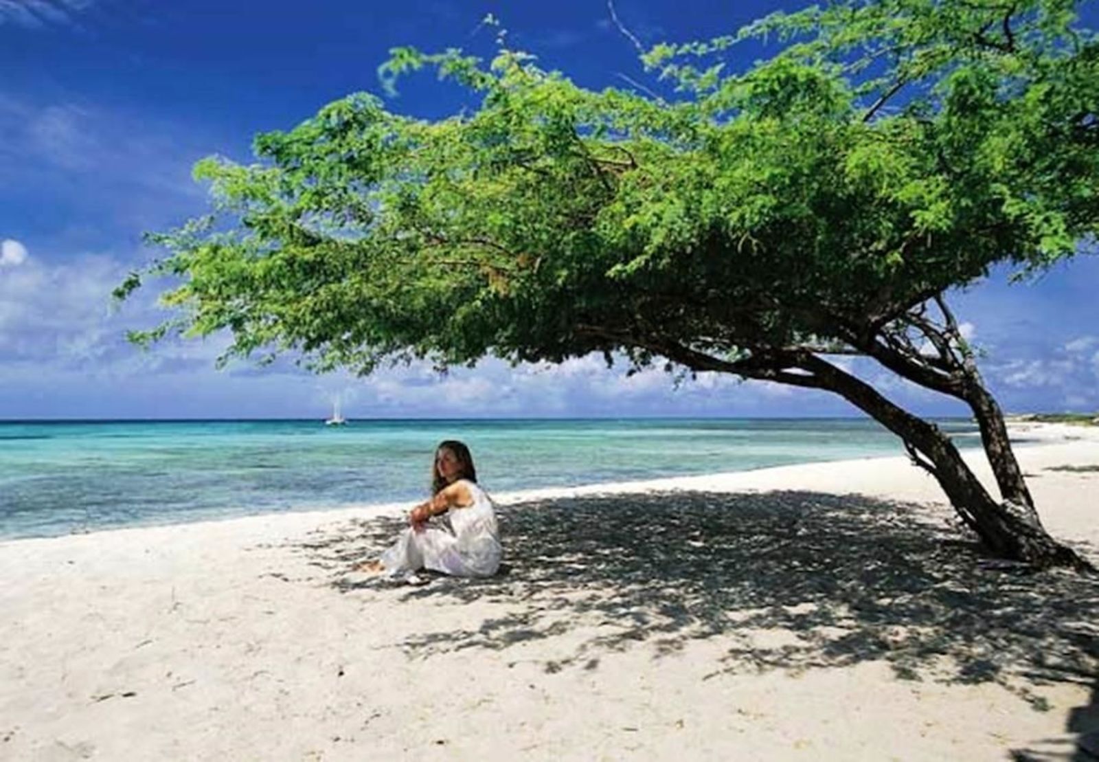 Marriott's Aruba Surf Club, 2-Slaapkamers