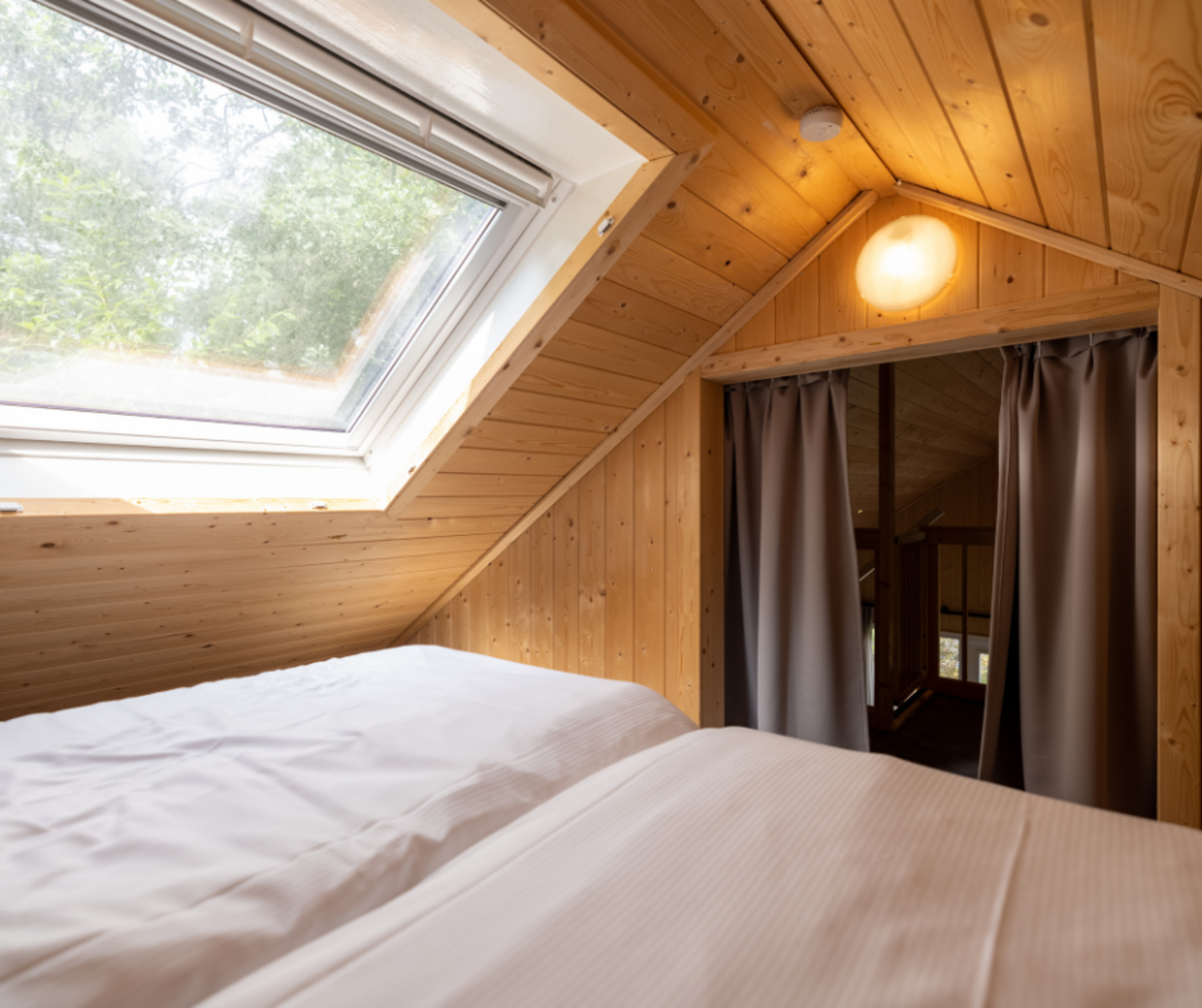 Vakantiewoning Boslodge Comfort | 4 persoons