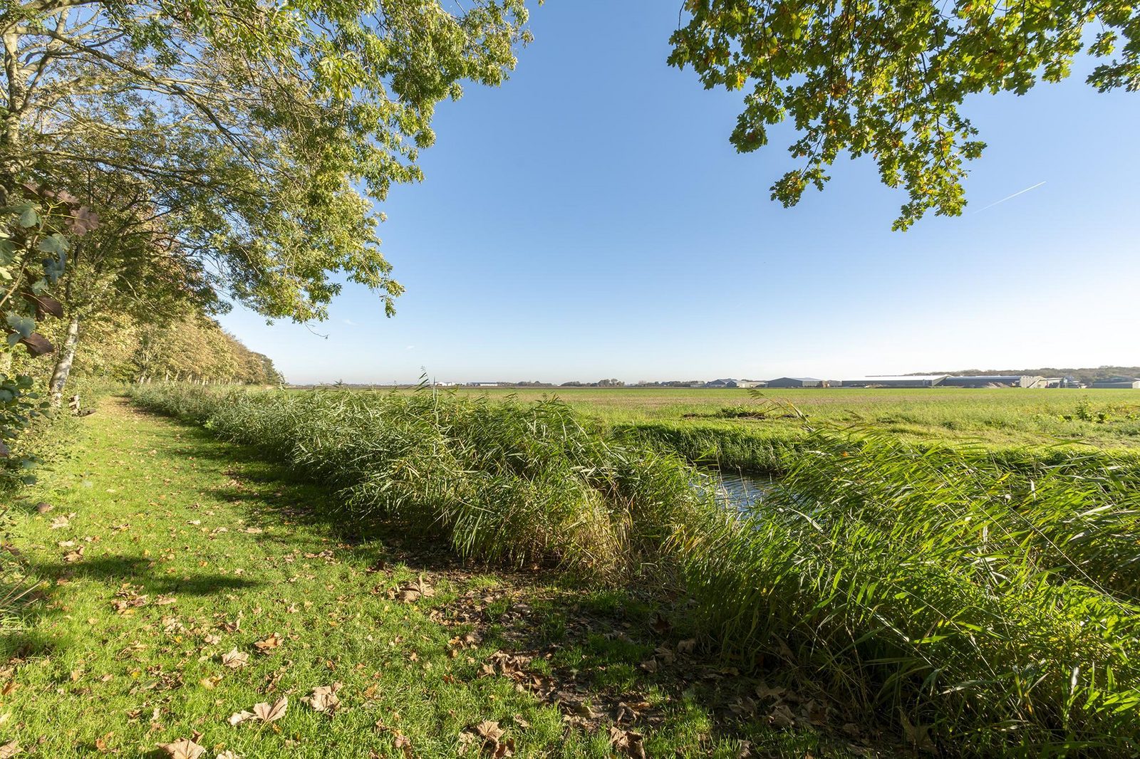 Duinland 110