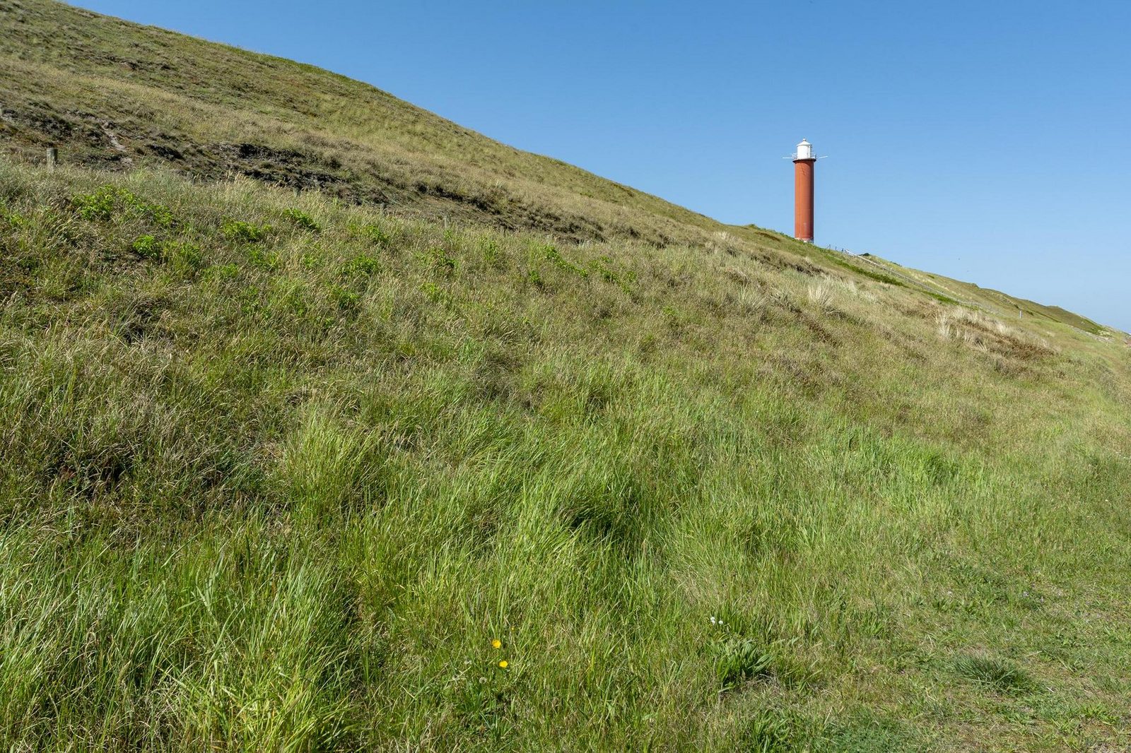 Strandleven 006
