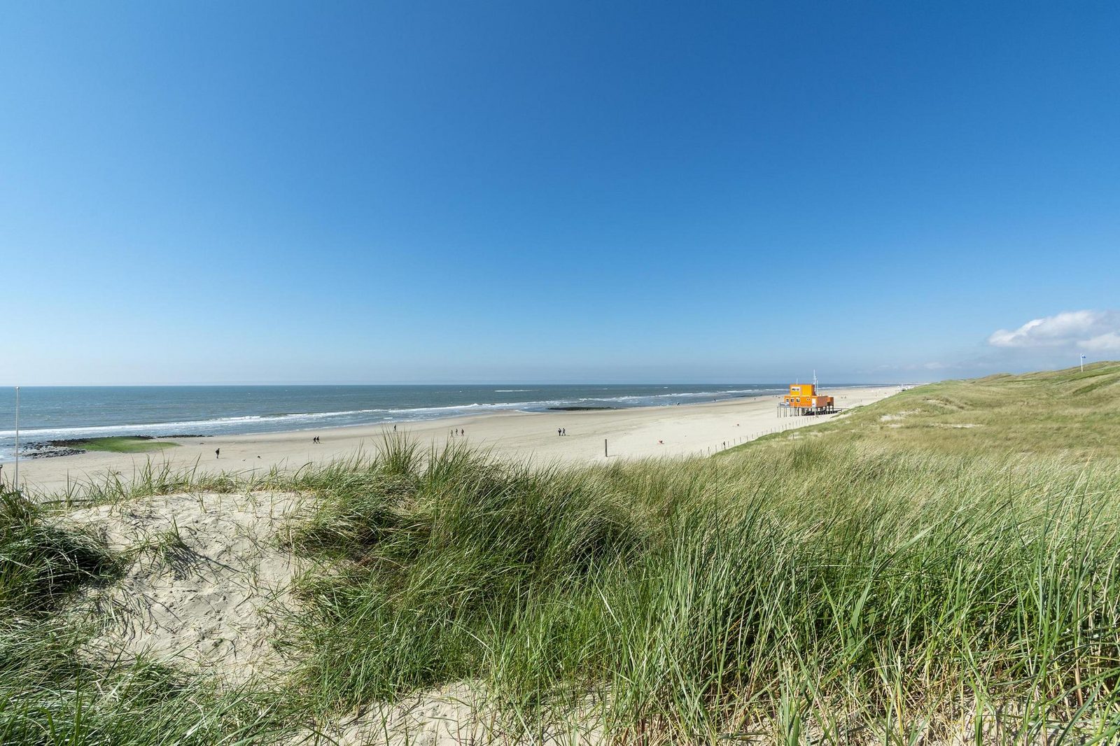 Wijde Blick 307