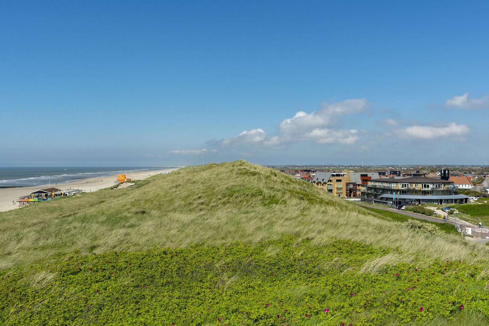 Wijde Blick 307