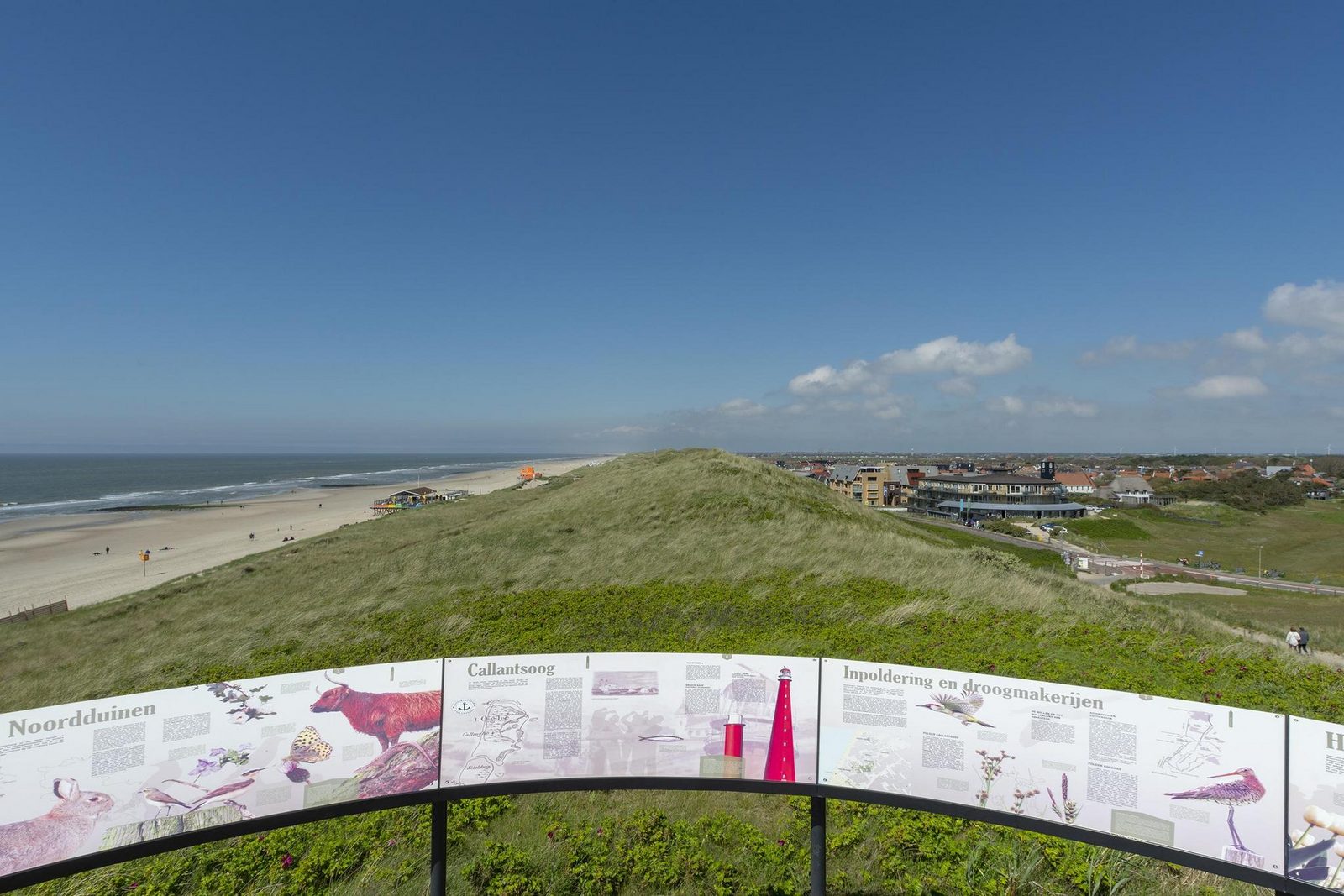 Wijde Blick 309 