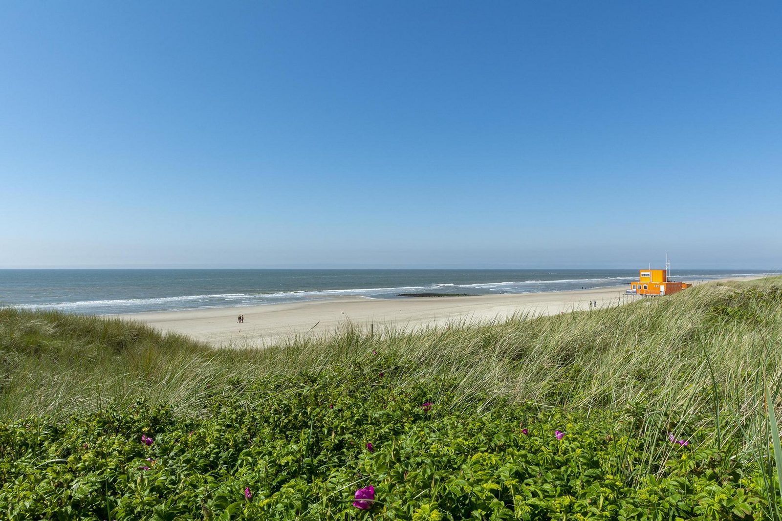 Wijde Blick 311