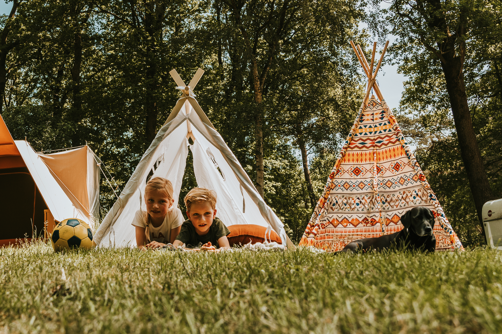 Comfort Camping pitch with pet