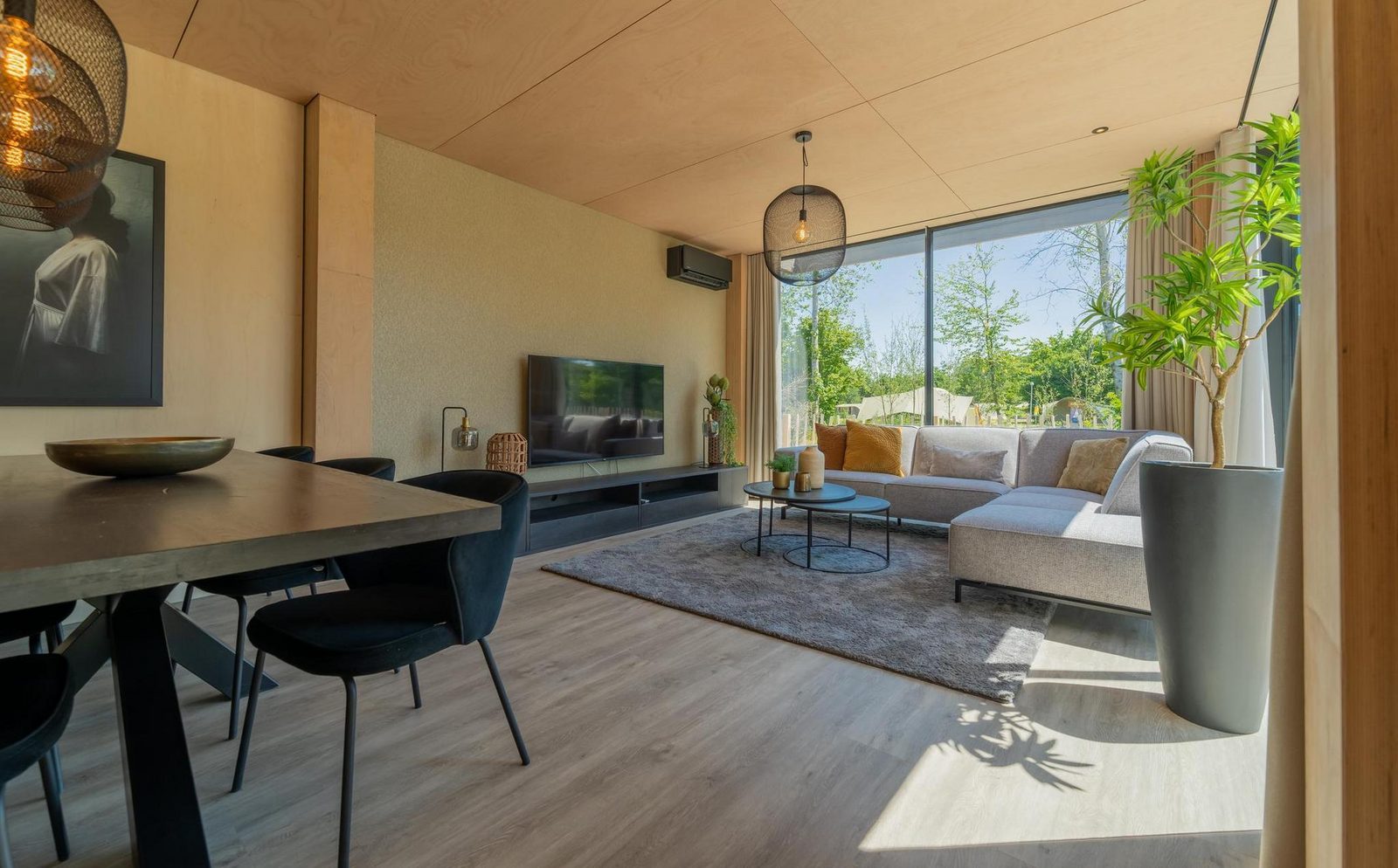 Wald Villa BV6
