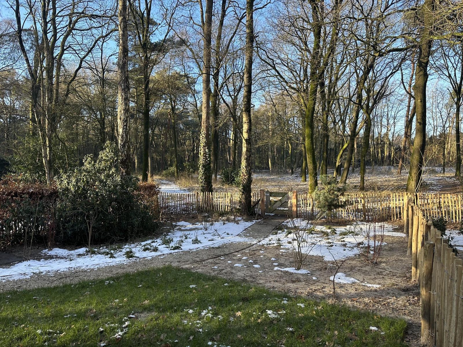Natuur Lodge Eco 4 persons with Hottub and Sauna