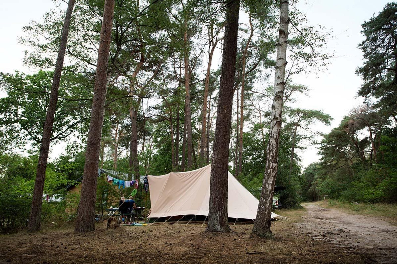 Waldplatz – autofrei