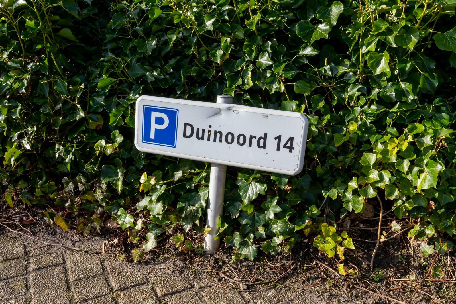 Appartement - Duinweg 117-14 | Zoutelande 