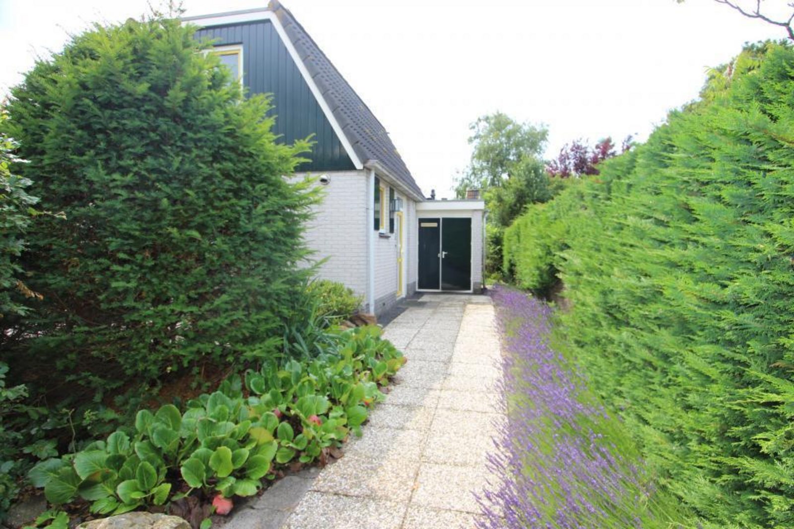 Duin Bungalow  119 4-persoons