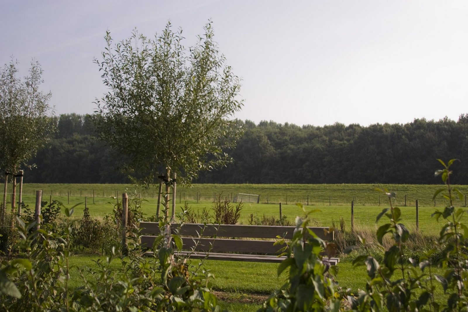 4-persoons Premium Zeeuwse Cottage