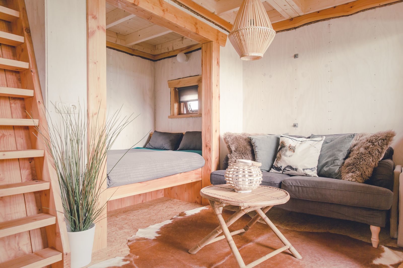 Boomhut I 5 personen