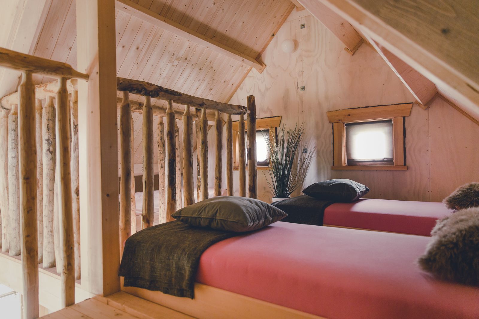 Boomhut I 5 personen