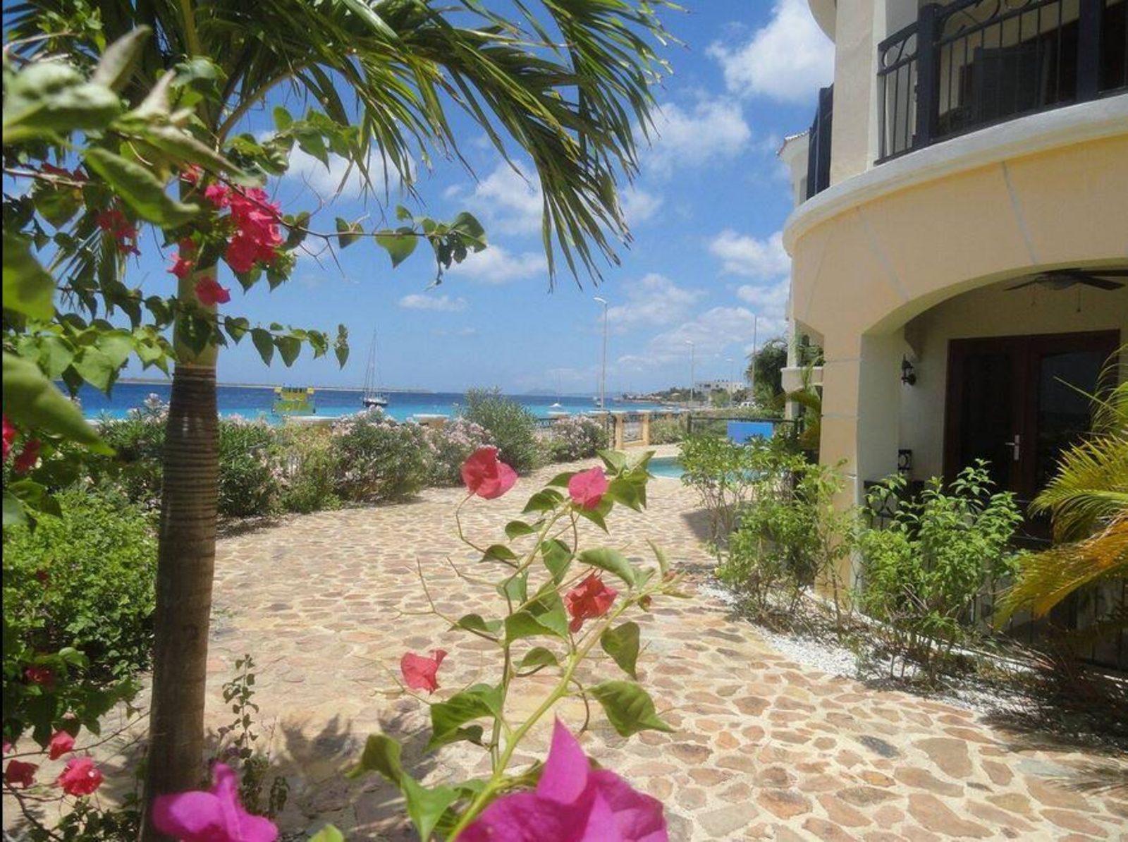 Elegancia del Caribe 6