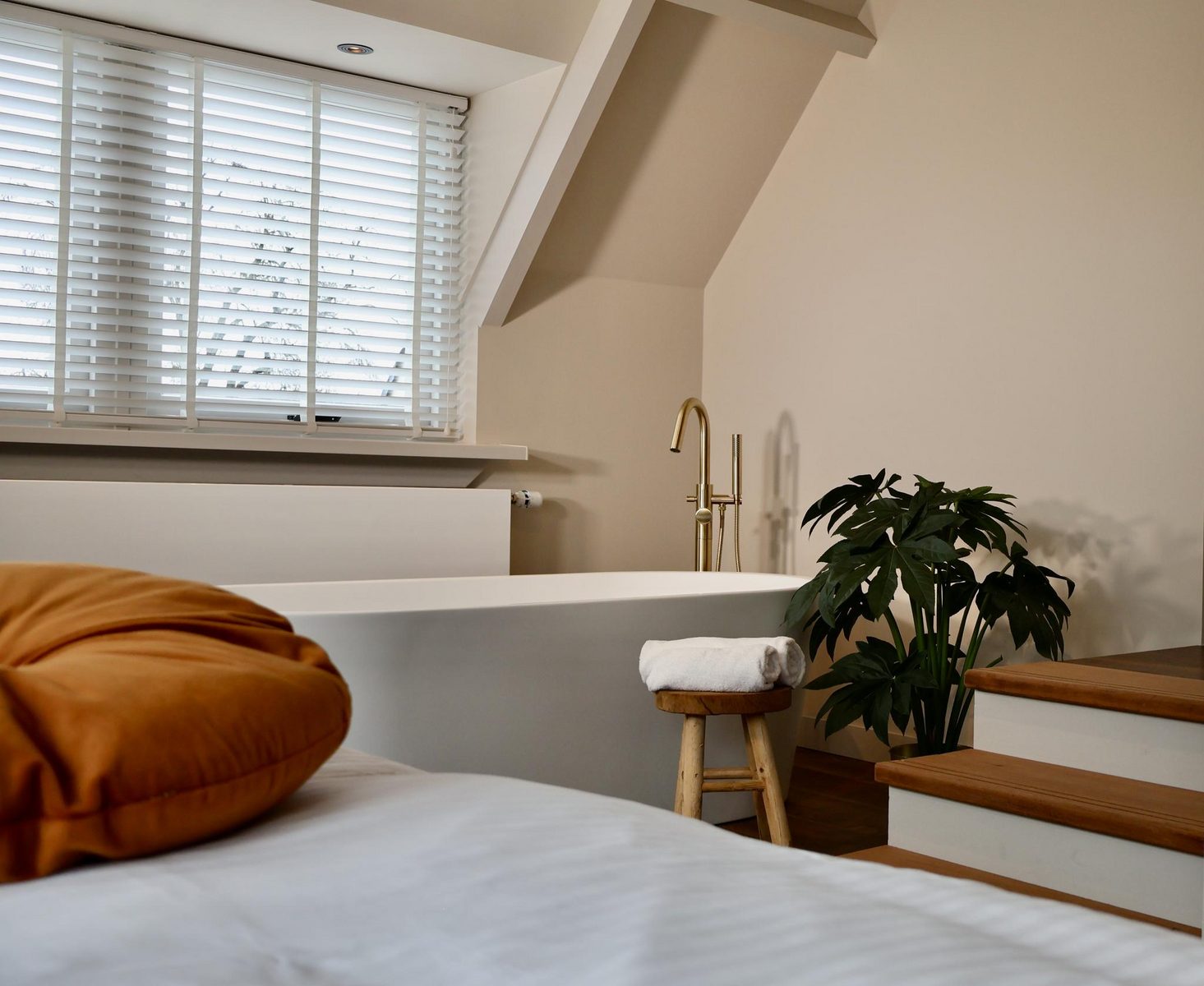 Boutique Suite 