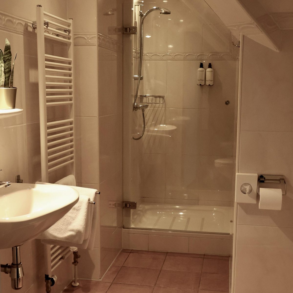Standaard Hotelkamer 1-persoons