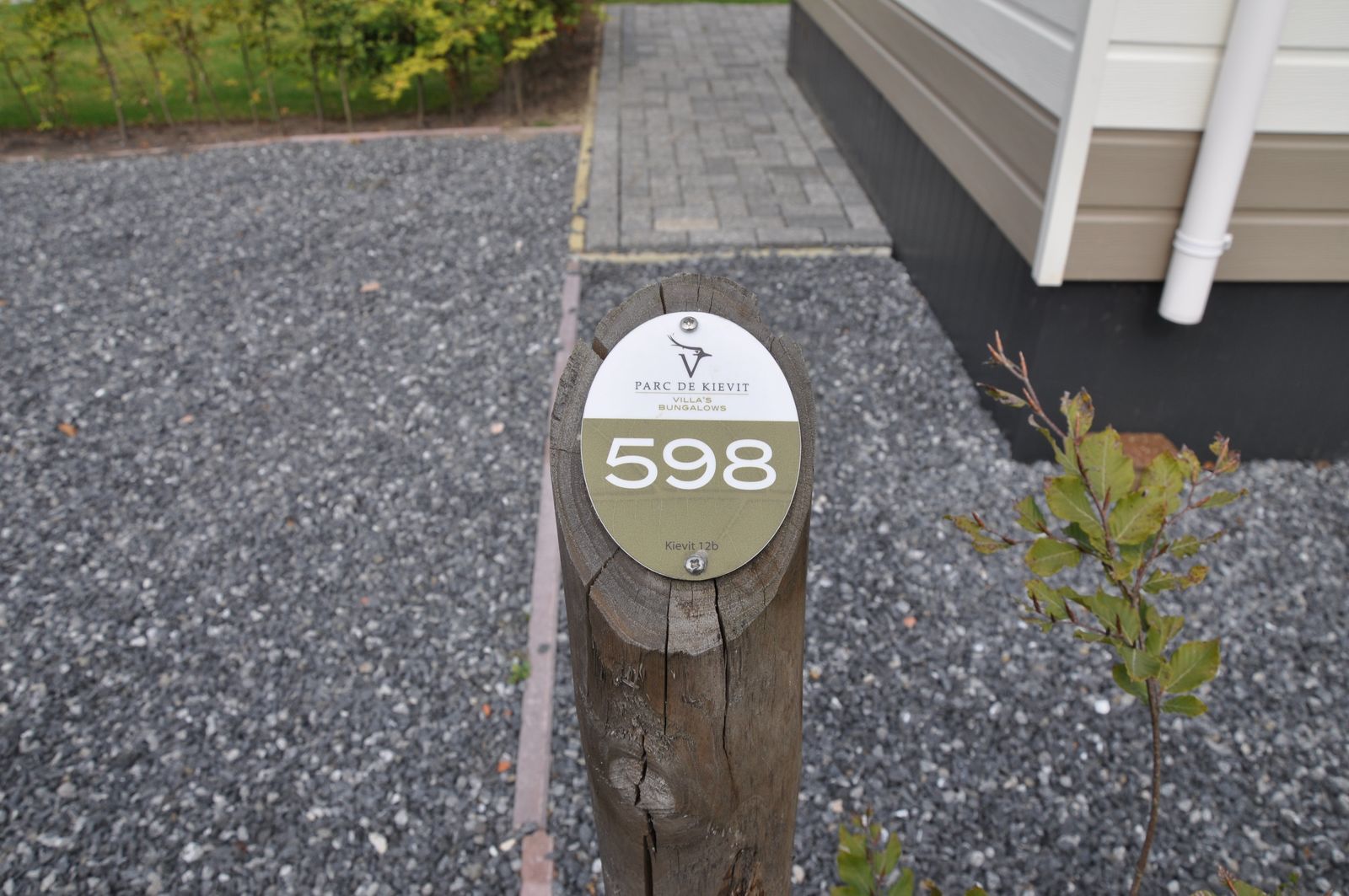 Goudvink 598