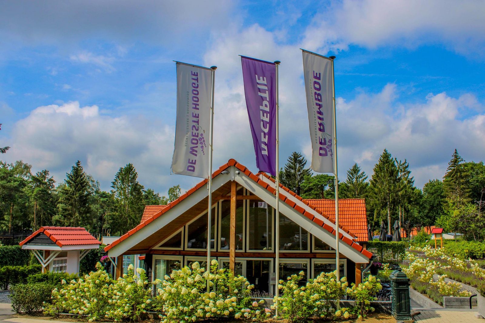 Groepsaccommodatie Bosuil | 14 persoons