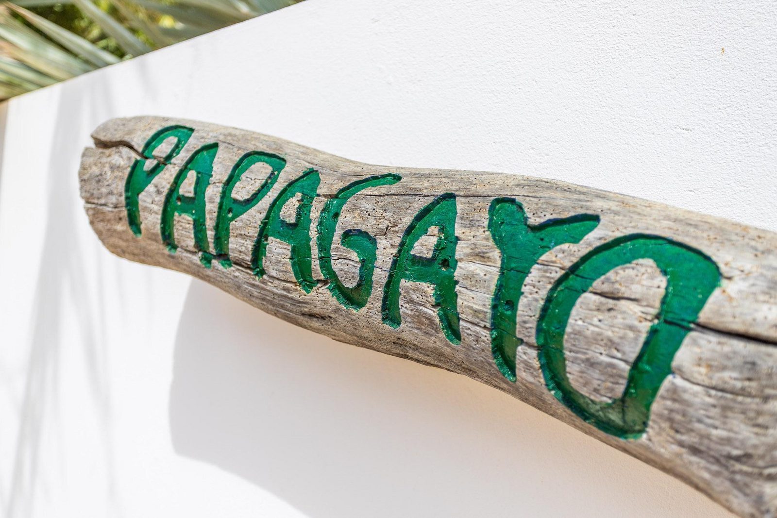 Villa Papagayo